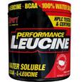 SAN Performance Leucine 300 g