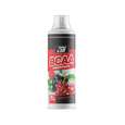 2SN BCAA concentrate 500ml