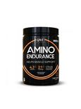QNT Amino Endurance 350g